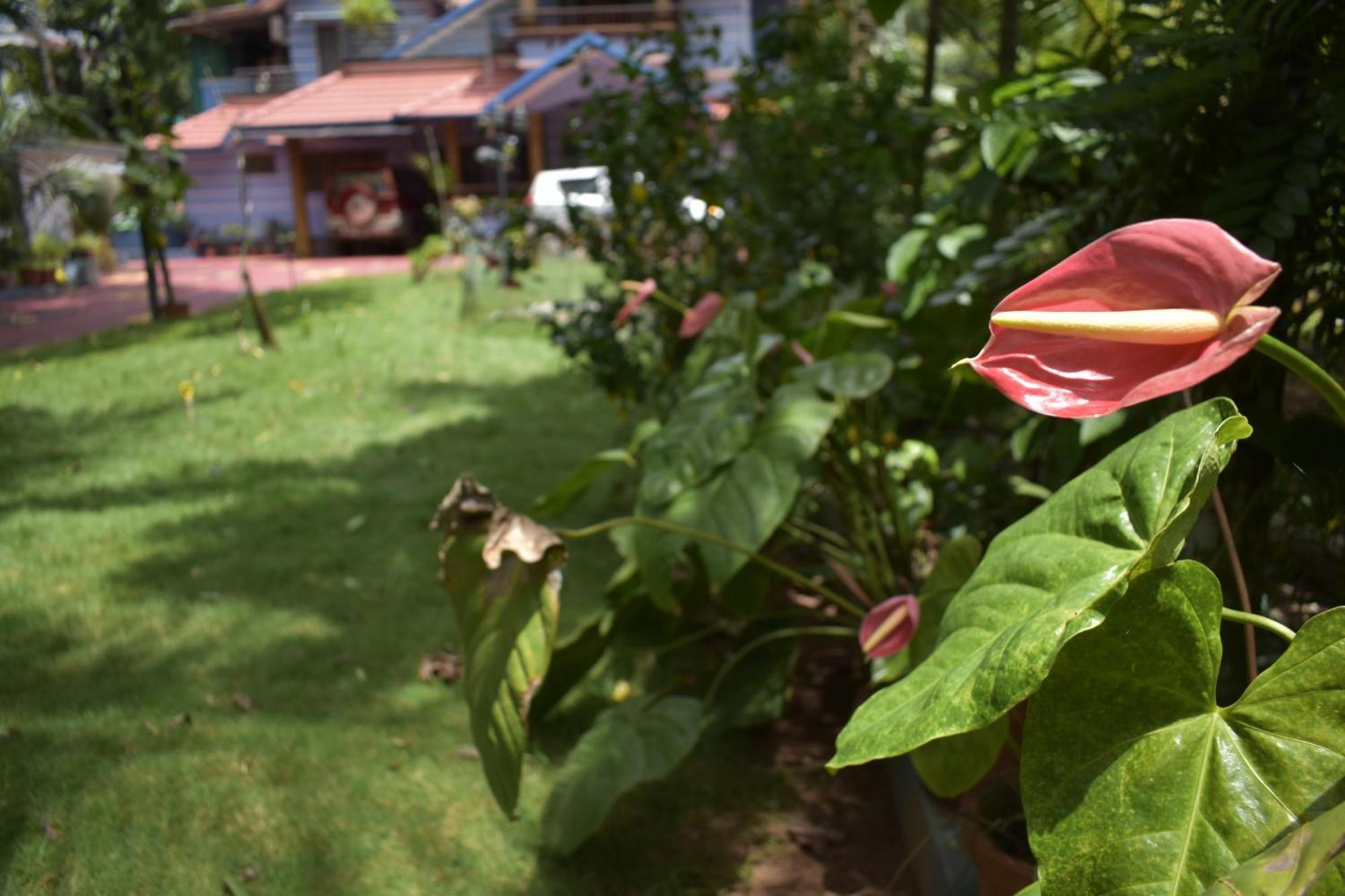 Ben'S Villa Kannur ! Exterior photo